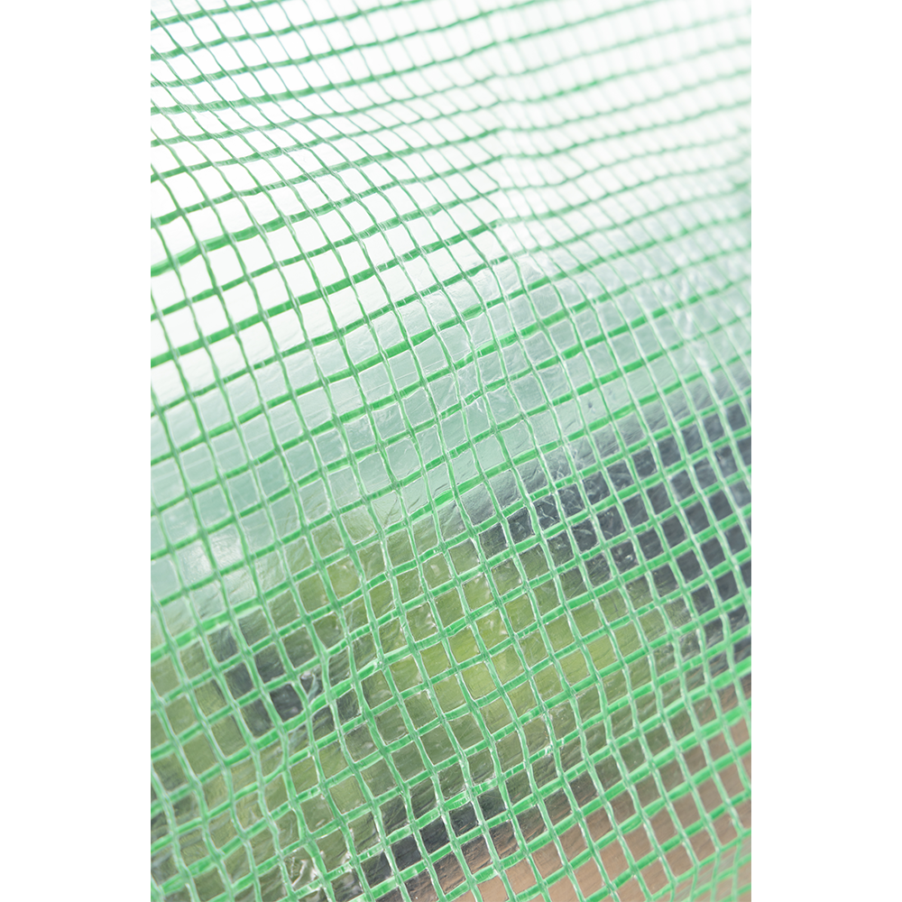HC Garten & Freizeit Tunnelgewächshaus mit 6 Fenstern und einer Tür, 300x200x200 cm