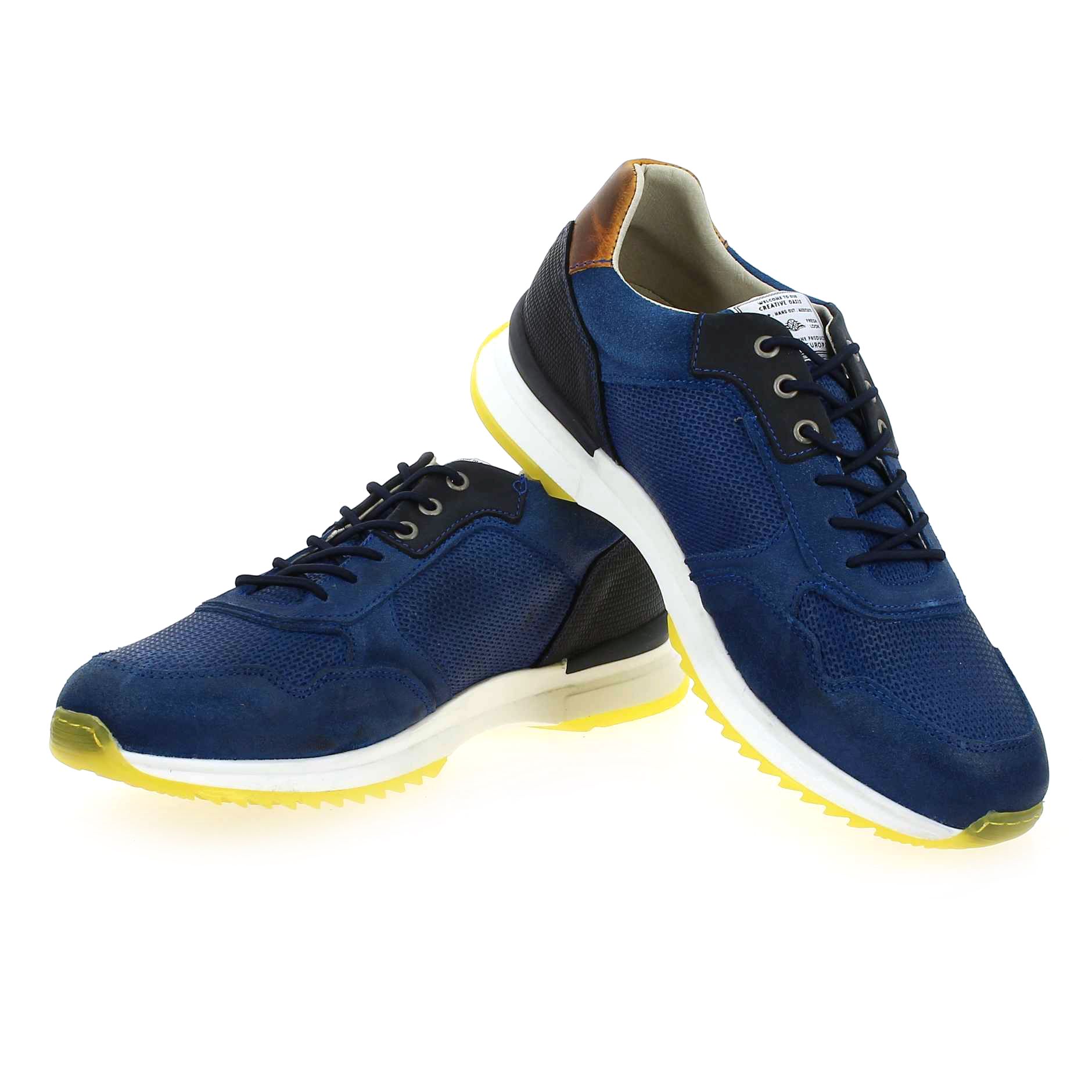 Bullboxer  c - Bleu Jaune