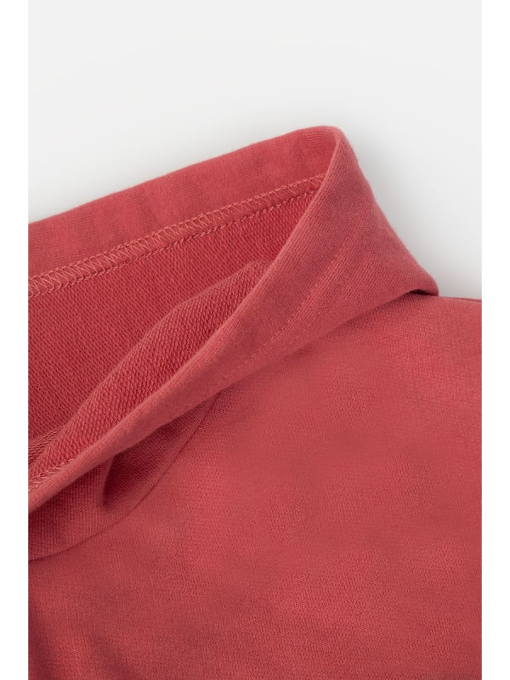 Coccodrillo Sweatshirt in dunkelrot günstig kaufen