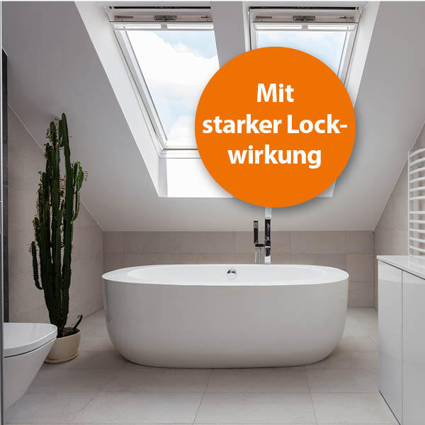 Ardap Zubehör Ardap Silberfischchen Köderdose 4er Pack