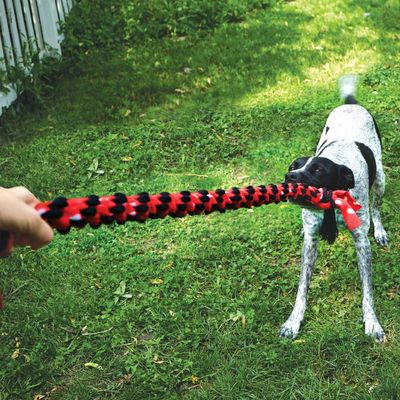KONG Signature Seil mit Doppelknoten