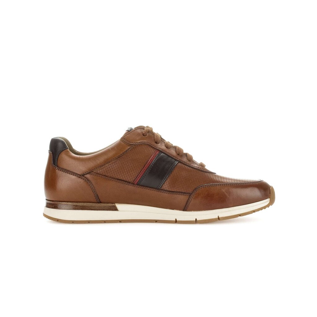 Pius Gabor PG1047 Sneaker low braun