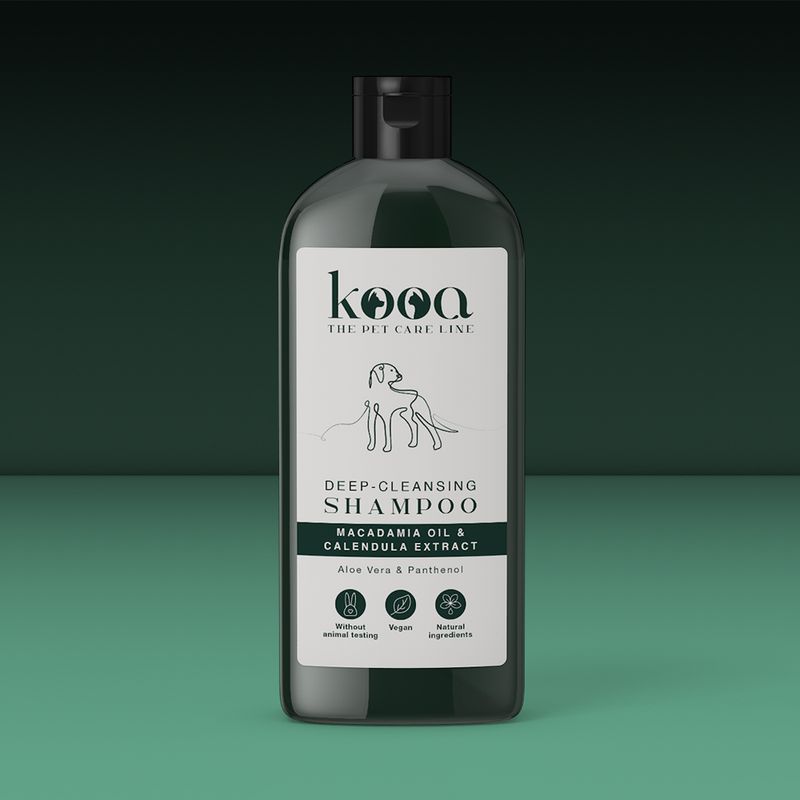 kooa Tiefenreinigungsshampoo zu TOP-Preisen