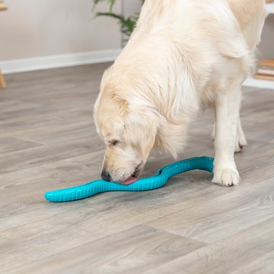 Trixie Snack-Snake, TPR
