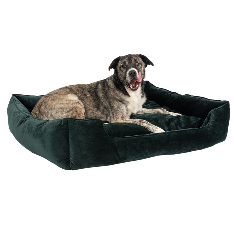Modern Living Hundebett Fern zu TOP-Preisen