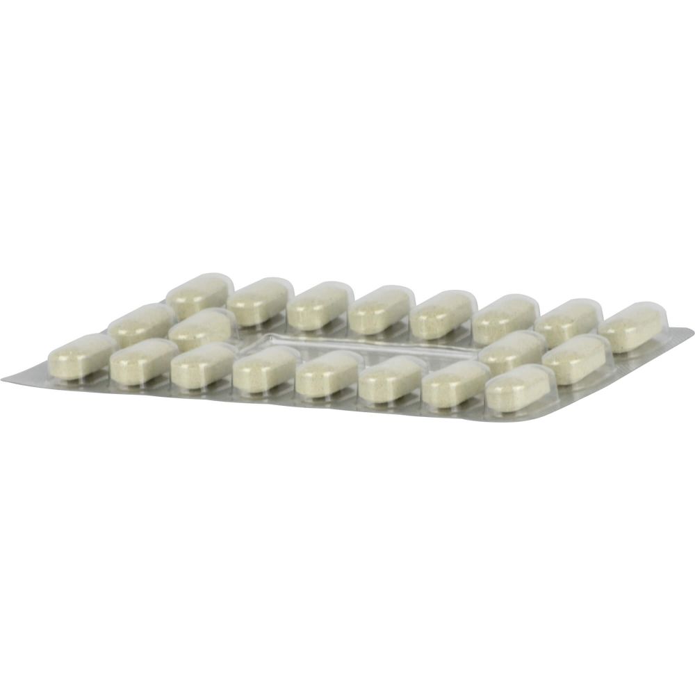 XLS Medical Fettbinder Tabletten Monatspackung