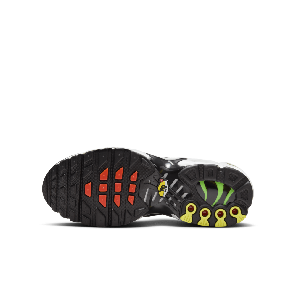 Nike Air Max Plus CD0609-010 / bunt