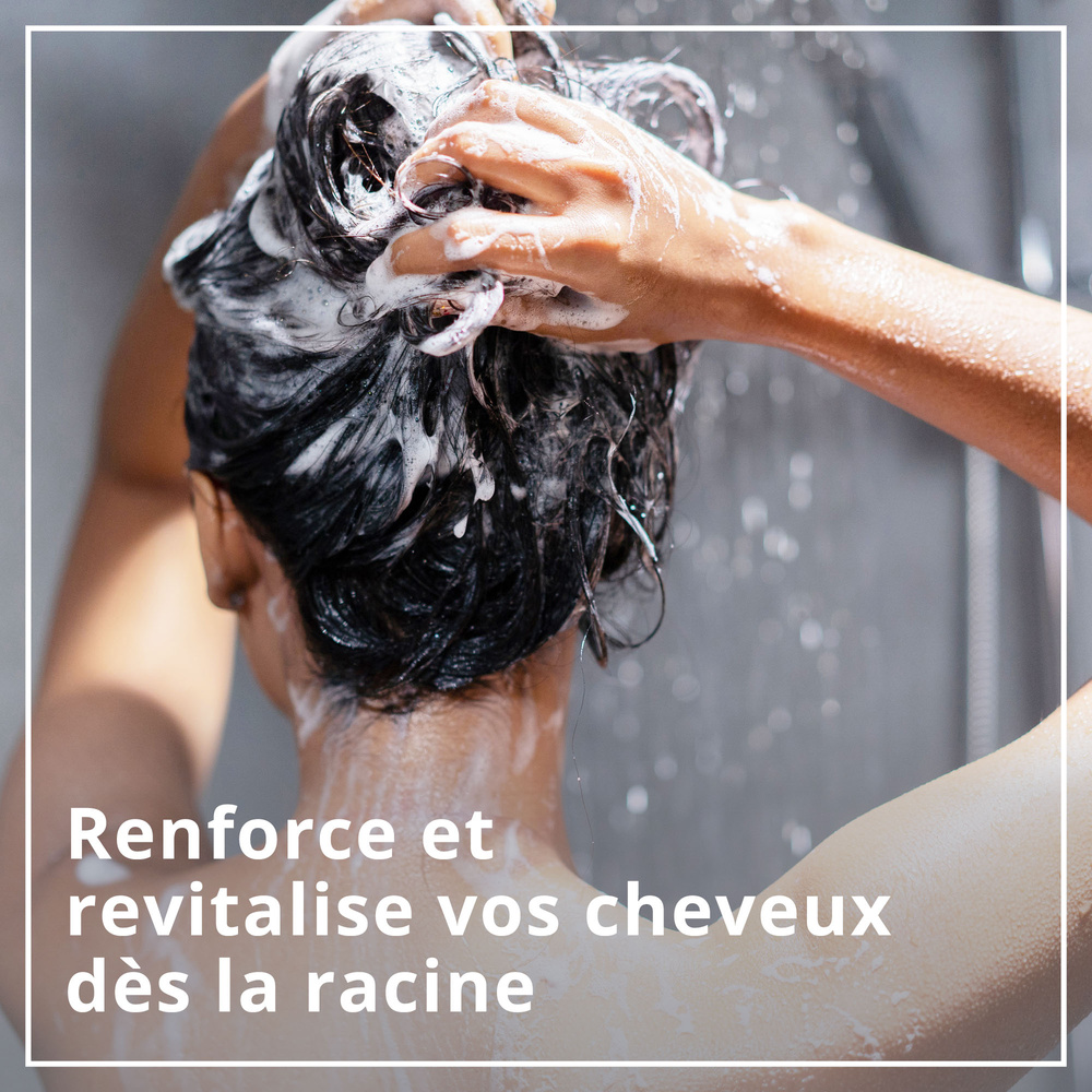 le petit marseillais Shampooing Force & Eclat , Pomme BIO & Feuille d'Olivier BIO, 250ml Shampoing