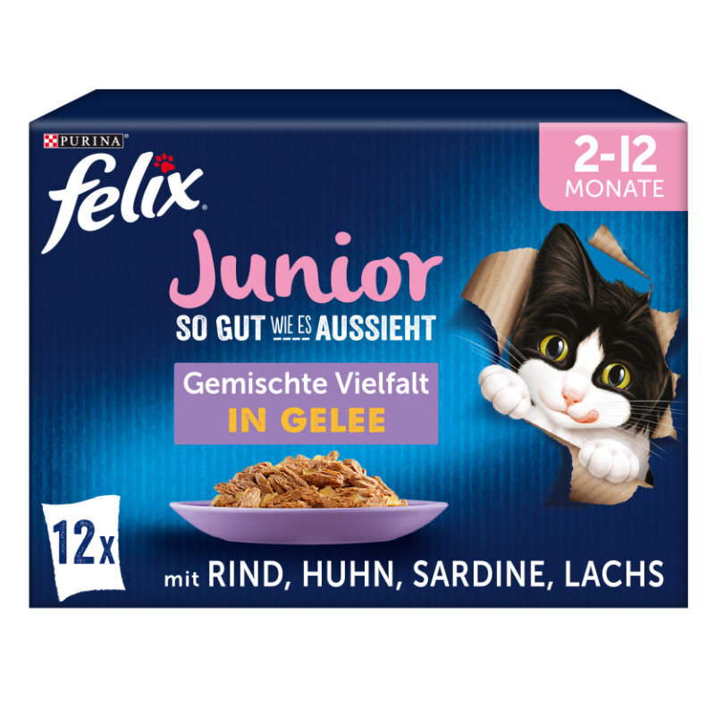Felix Nassfutter Felix So gut wie es aussieht Junior 12x85g