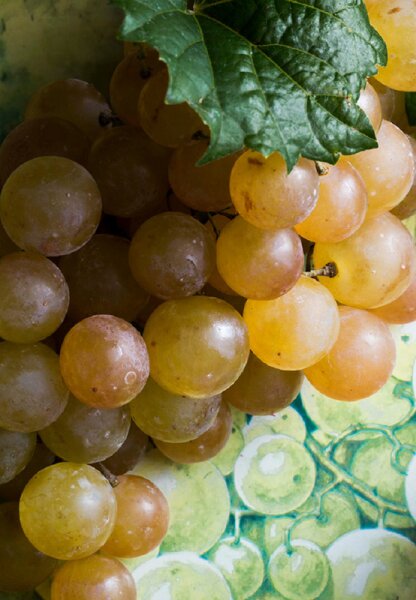 KORRES Santorini Grape 1+1 Duschgel Set Körperpflegeset