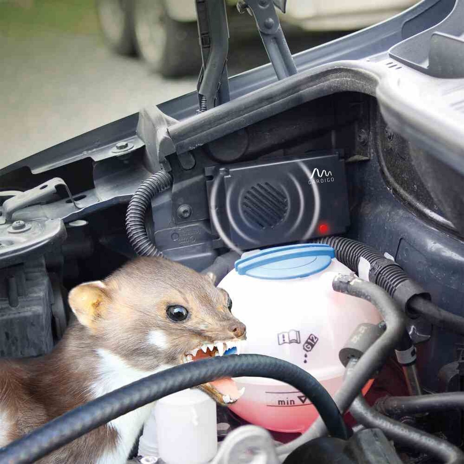 Gardigo Fliegenklatsche Marder Frei Mobil, batteriebetrieben batteriebetrieben