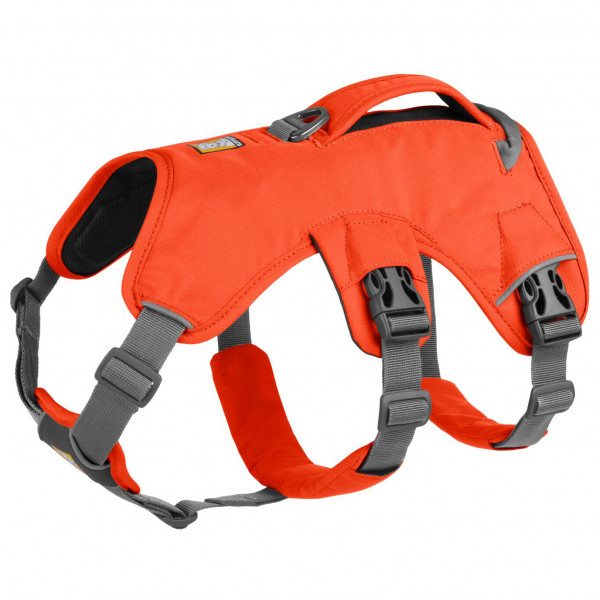 Ruffwear - Web Master Harness - Hundegeschirr
