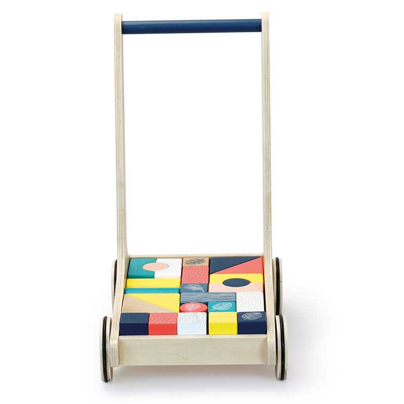 Chariot avec 24 cubes Sous la canopée Vilac