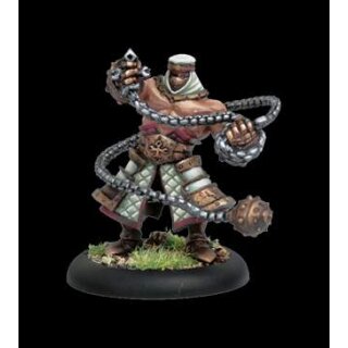 Protectorate High Alegiant Amon Ad-Raza (PIP32032)