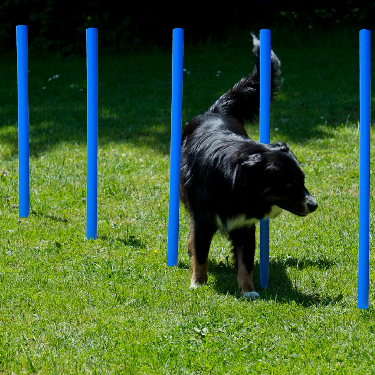 Lemodo Lemodo Hundetrainingsset, 12 Stk. Slalomstangen und 3 Stk. Hürdestangen