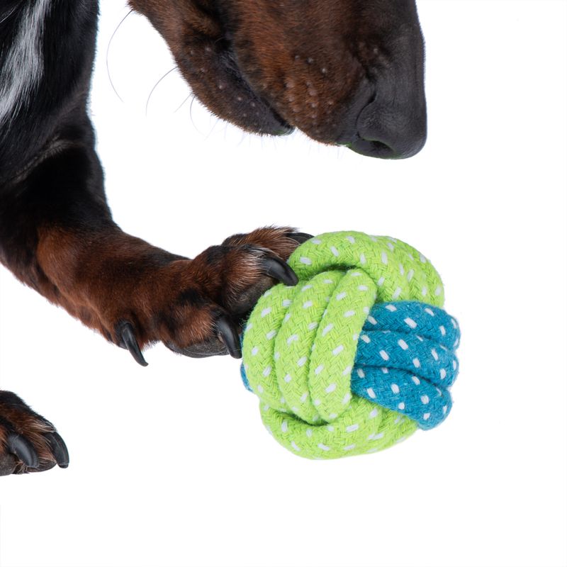Hundespielzeug Limoen Ball zu TOP-Preisen