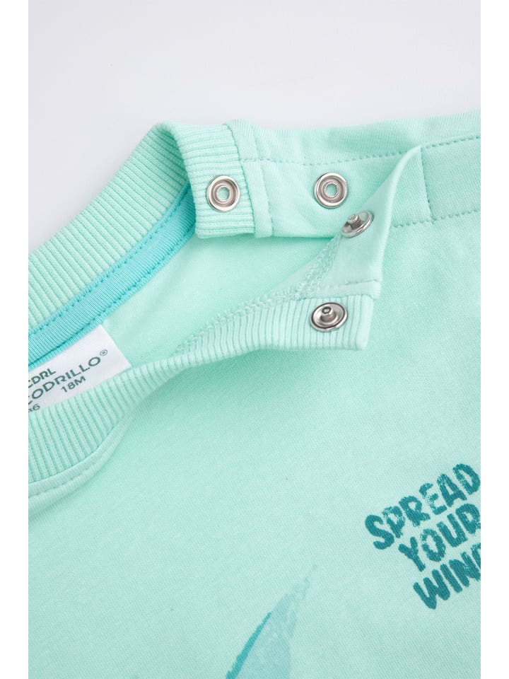 Coccodrillo Langarm-T-Shirt in in Minzfarbe günstig kaufen