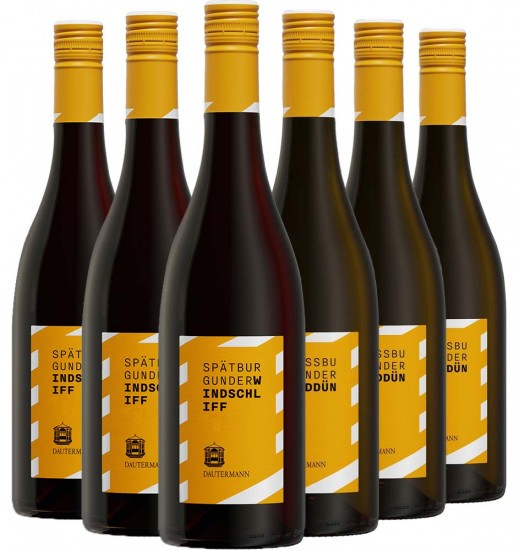 Dautermann Kennenlern-Paket - Weingut Dautermann
