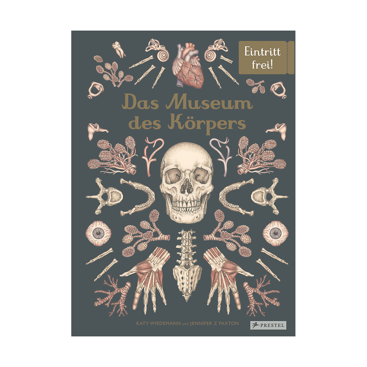 Das Museum des Körpers