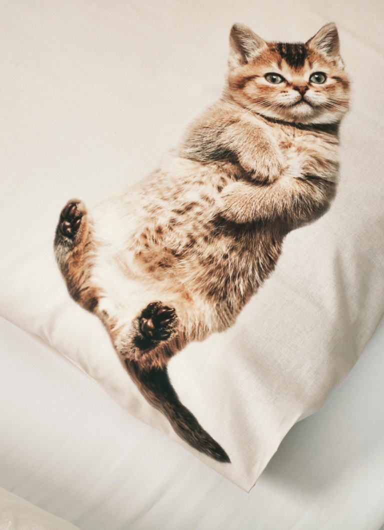 Snurk Kitten Friends organic cotton duvet cover 160TC - includes pillowcase