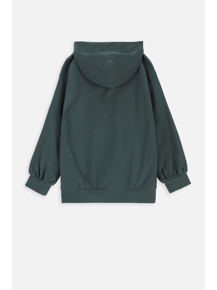 Coccodrillo Sweatshirt in grün günstig kaufen