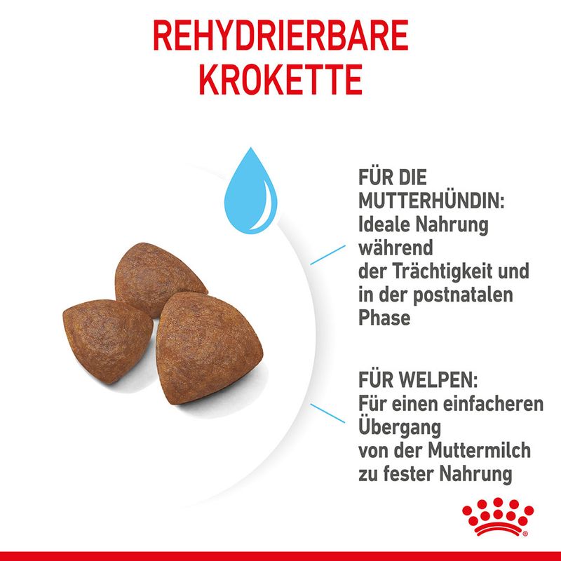 Royal Canin Medium Starter Mother & Babydog