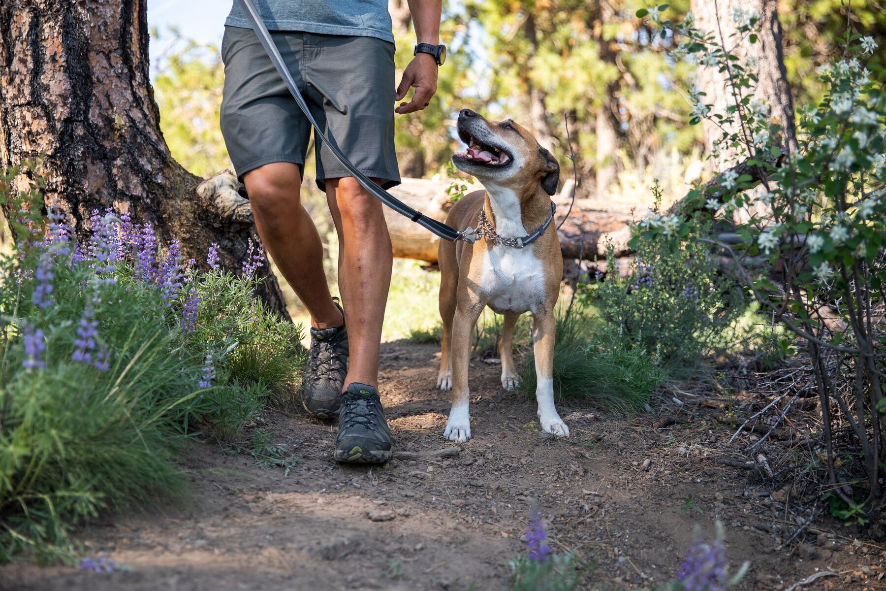 Ruffwear Hundehalsbänder Ruffwear Chain Reaction™ Halsband blau L