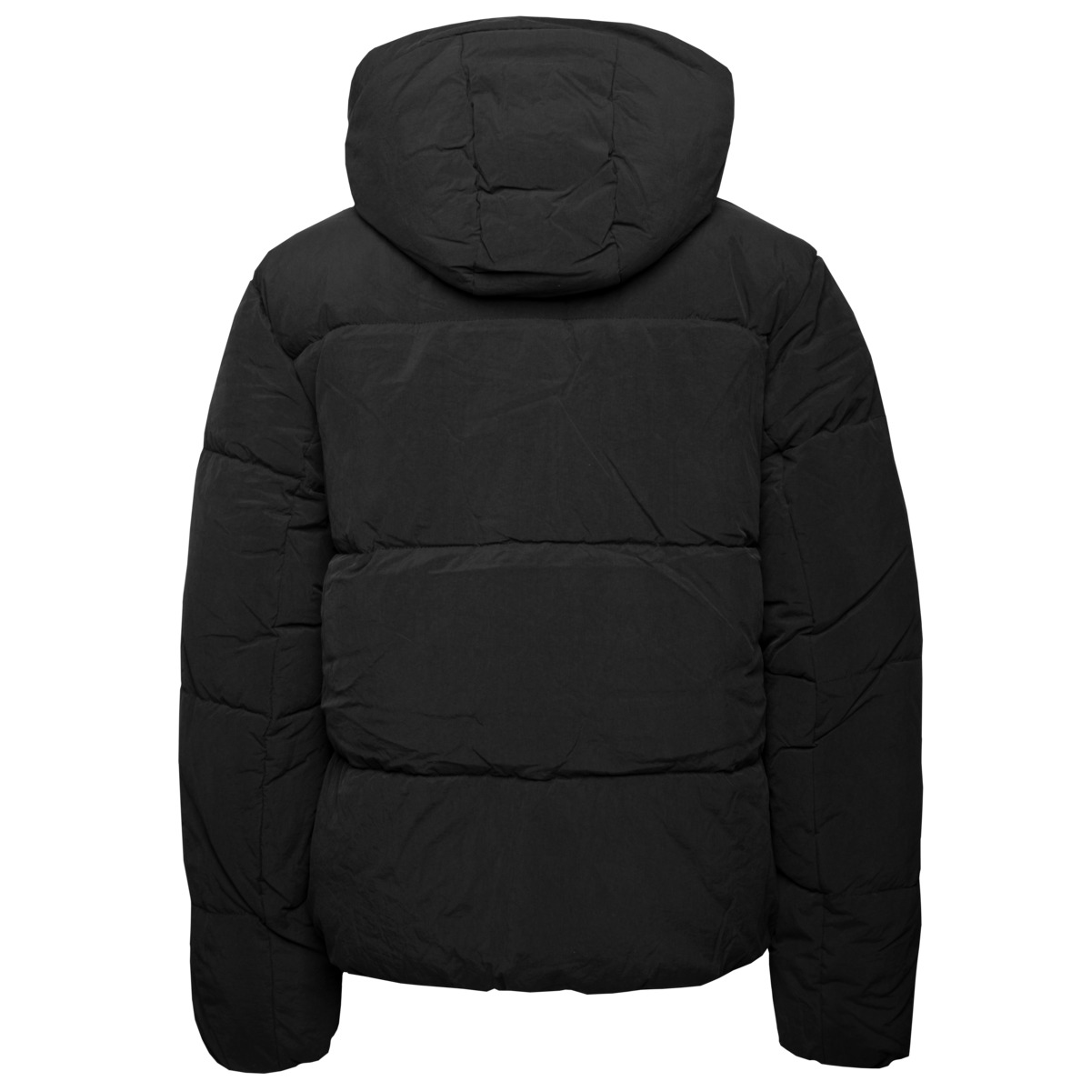 Champion Hooded Winterjacke schwarz