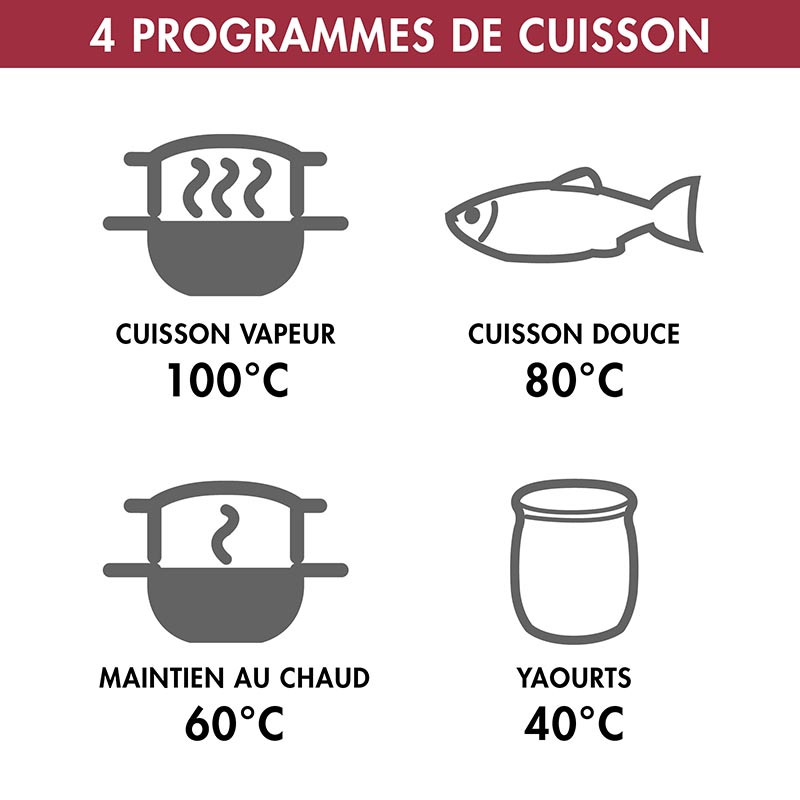 CUISEUR VAPEUR MULTIFONCTION