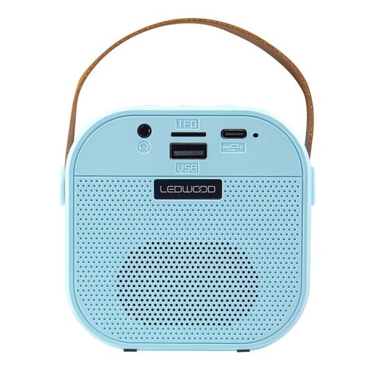 Reproduktor LEDWOOD DUO VOICE