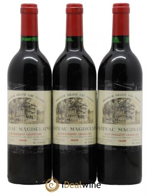 Château Magdelaine  1989 - Lot de 3 Bouteilles