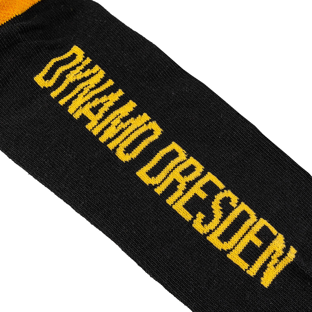 Sneakersocken DYNAMO DRESDEN (2er Set)