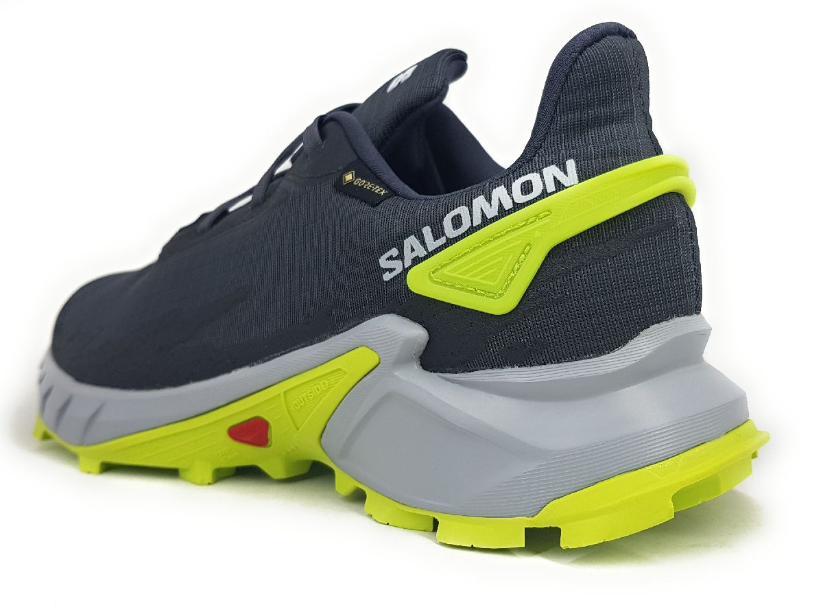 Salomon Alpha Cross 4GTX L47066700 Grau Ebony