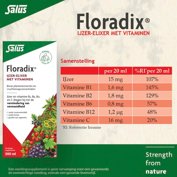 Elixir de Ferro Floradix 500ml