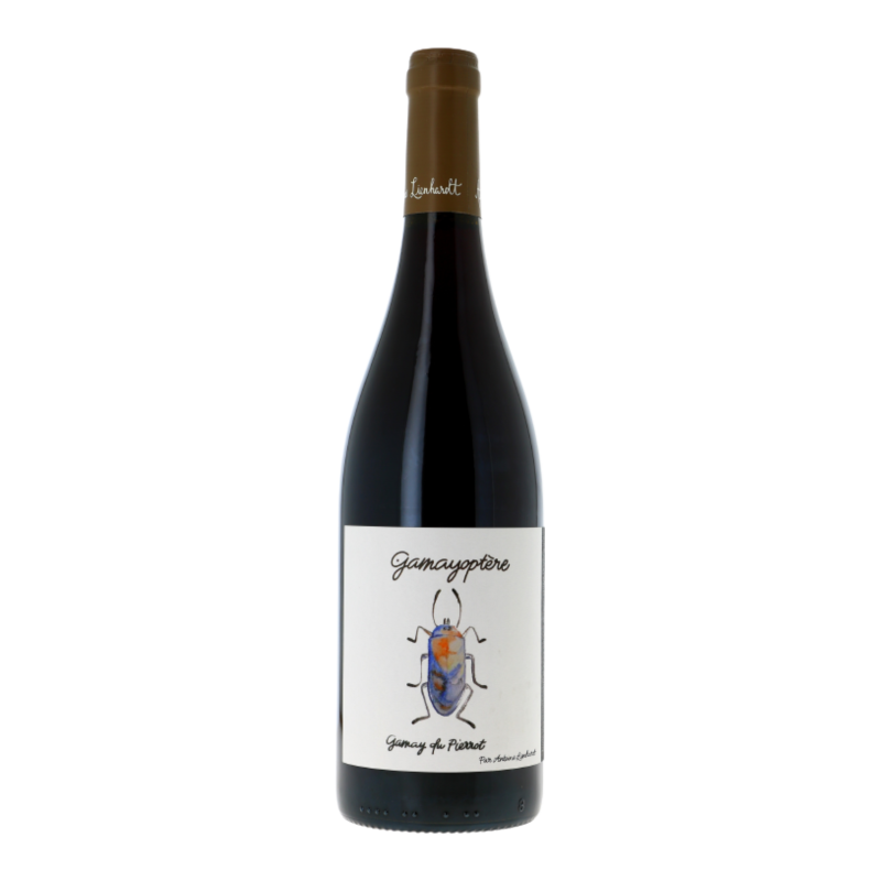 Coteaux Bourguignons 2021 - Coteaux Bourguignons - Bourgogne - Antoine Lienhardt (75CL.)