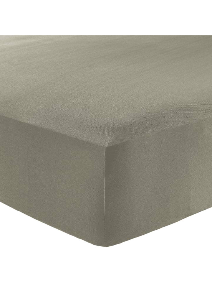 Erwin Müller Interlock-Jersey, Microfaser Spannbettlaken Landsberg in taupe günstig kaufen 140x200 cm - 160x200 cm
