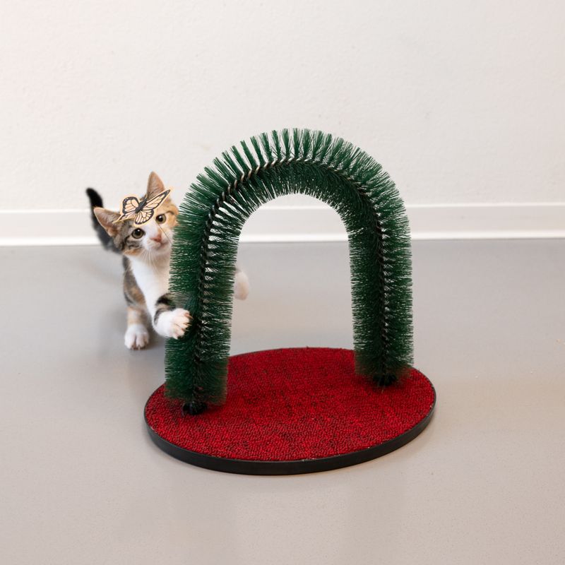 TIAKI Xmas Katzenmassagestation mit Schmetterling