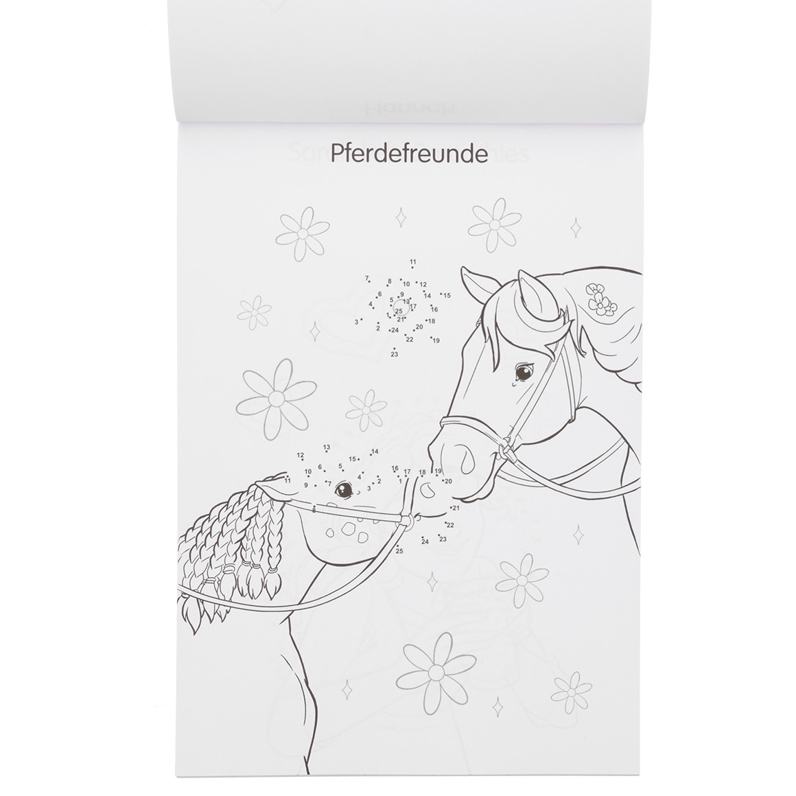 Schleich Malblock von Punkt zu Punkt
