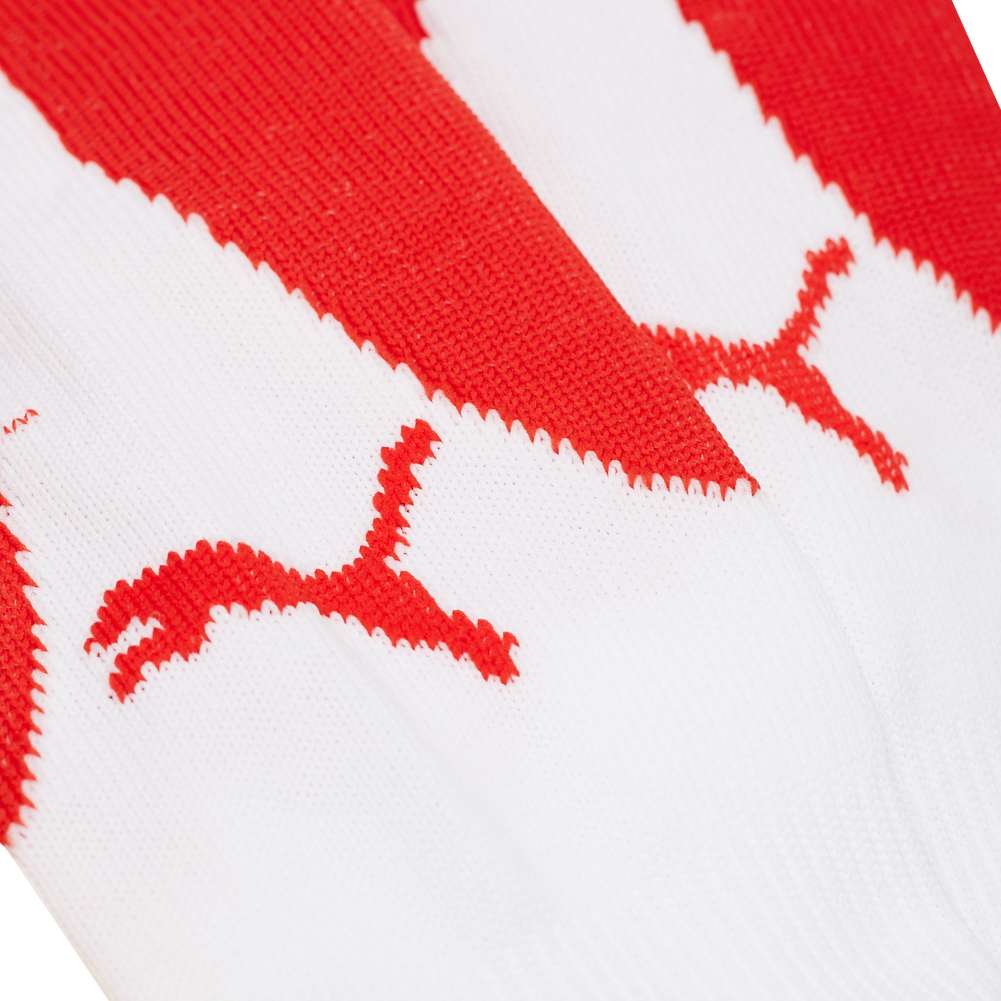 PUMA V3.06 Stutzen 700334-04