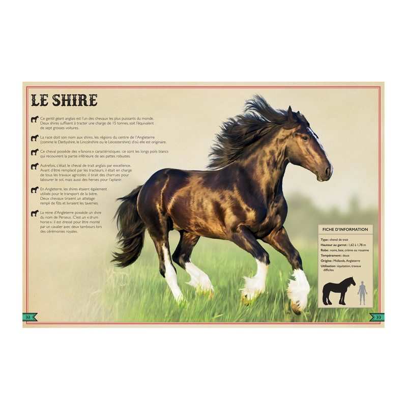 Livre Le livre extraordinaire des chevaux - Little Urban
