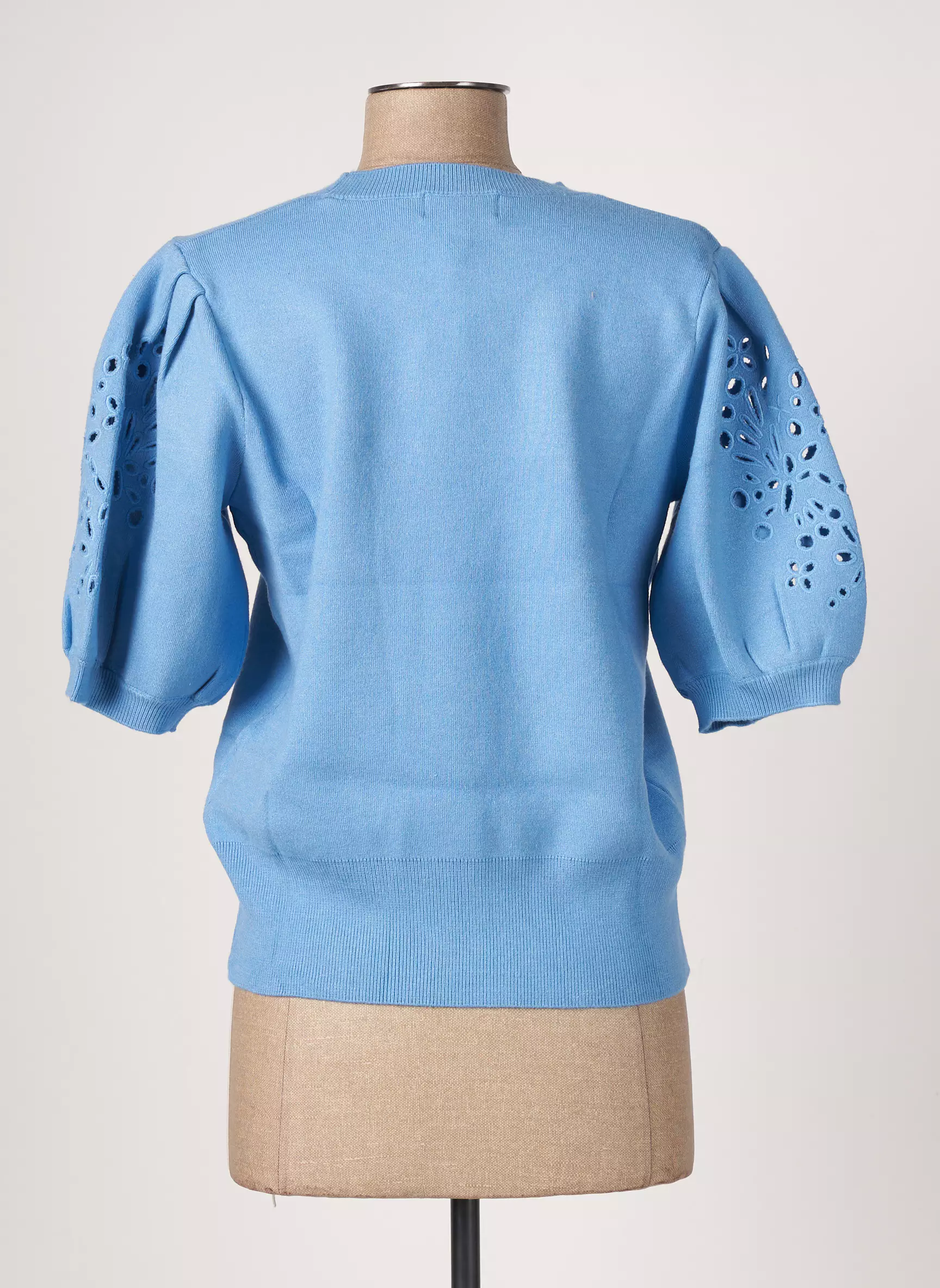 Object Pulls Femme couleur bleu