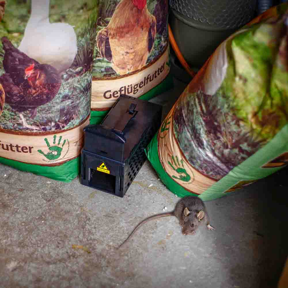 Tevigo Gardigo Ratten-Lebend-Falle DIY