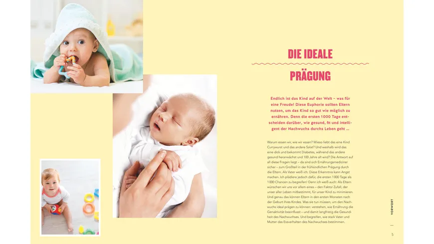 Das Kochbuch der ersten 1000 Tage