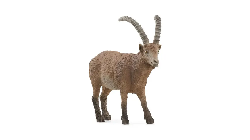 Schleich 14873 - Wild Life - Steinbock