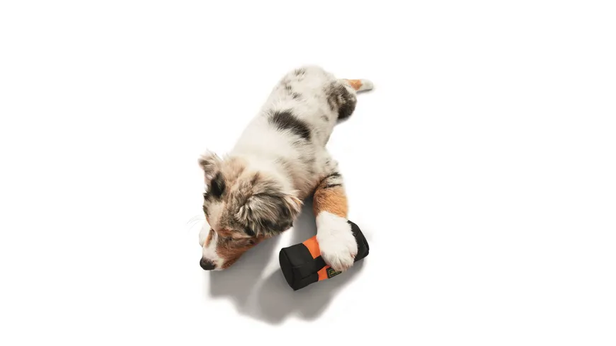 Hunter Trainer Snack Dummy orange 15 cm