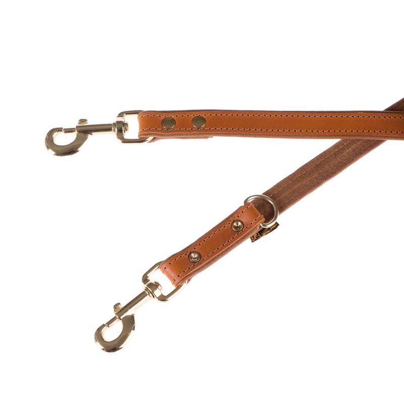 Sparset Heim Lederhalsband & Vorführleine Buffalo, cognac % bei bitiba.de