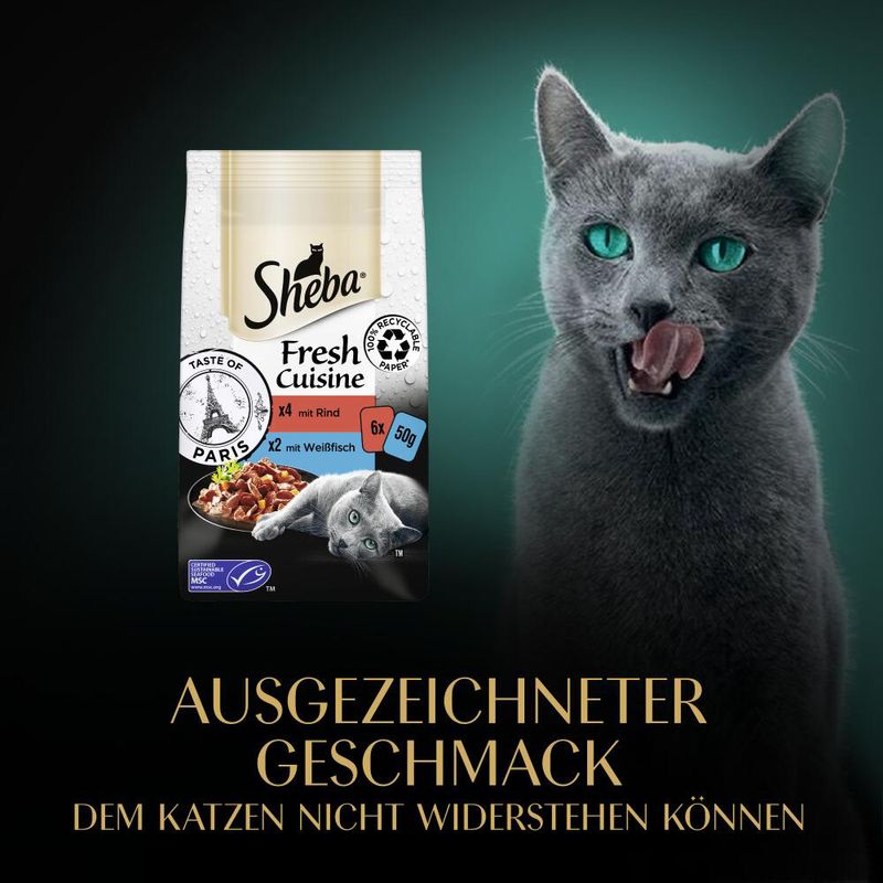 Sheba Fresh Cuisine Taste of Paris Rind & Weißfisch