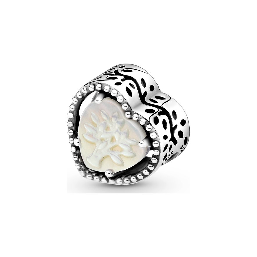 Pandora Charm Moments