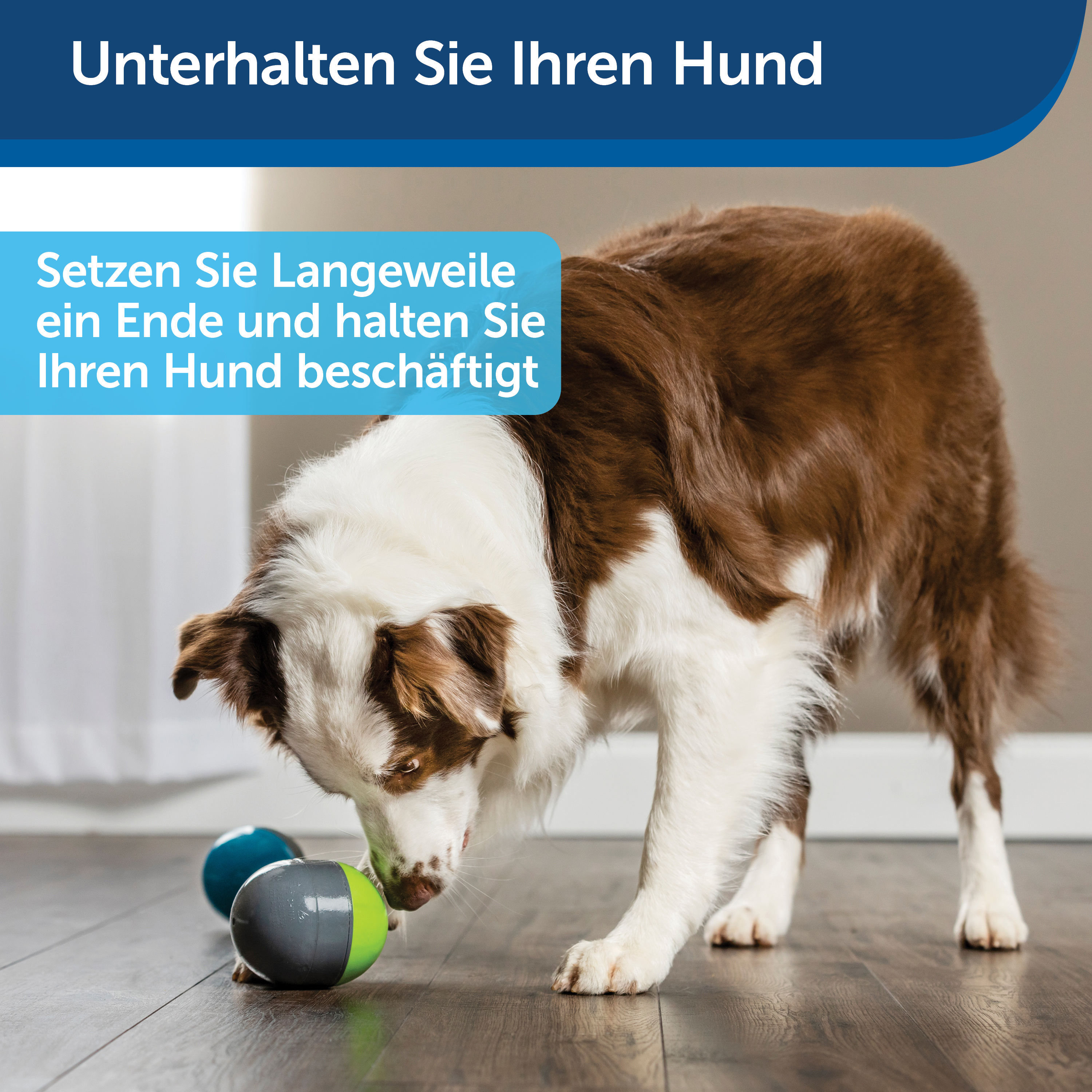 PetSafe Intelligenzspielzeug PetSafe Elektronisches Hundespielzeug Ricochet