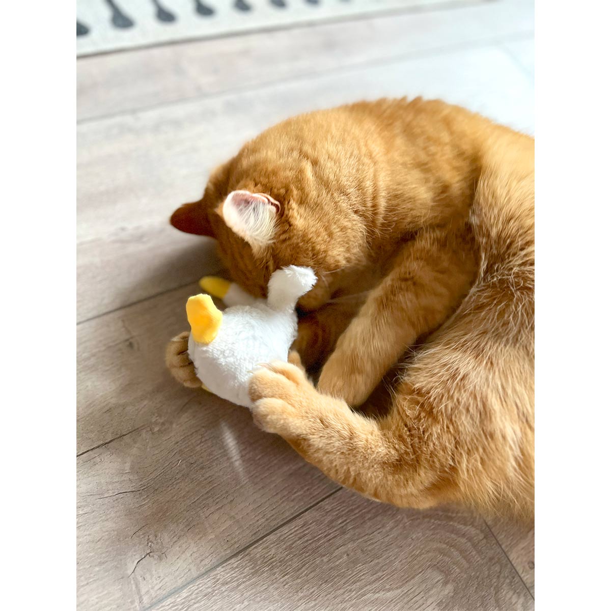 Aumüller Katzenspielkissen Gilbert Gans kaufen